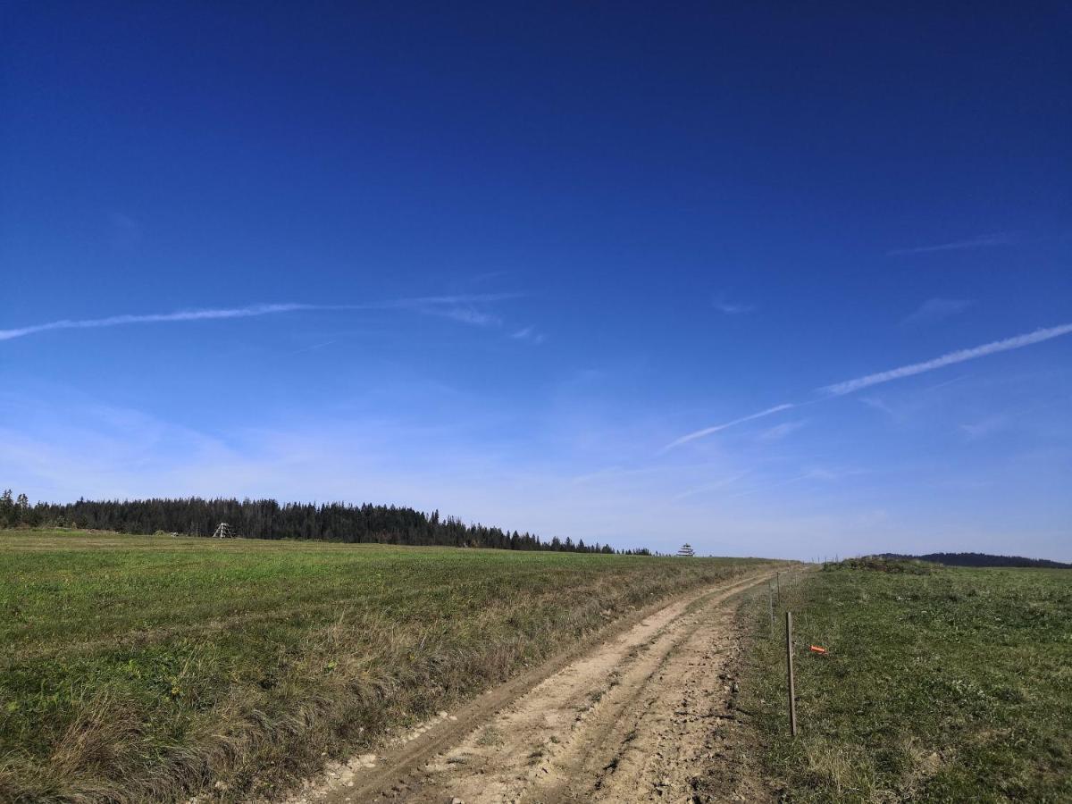 Na Dziole Villa Lipnica Wielka Kültér fotó